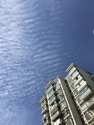 天空、蓝色、纯净、建筑、建筑结构、建筑外观、建筑、低角度视图