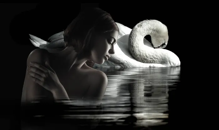 幻想，浪漫，女人，天鹅，水，作曲，女性，梦想