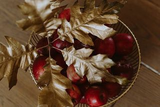 红苹果和金橡树叶子