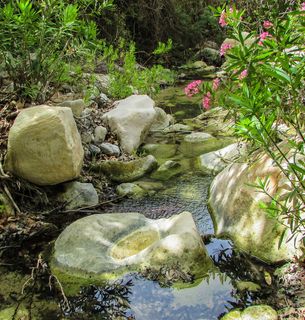 塞浦路斯，阿卡马斯，国家公园，阿瓦卡斯峡谷，自然，溪流，绿色，岩石-物体