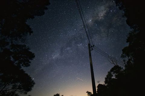 灰色天空下树木附近的黑色电线杆