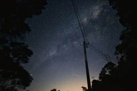 灰色天空下树木附近的黑色电线杆 灰色天空下树木附近的黑色电线杆