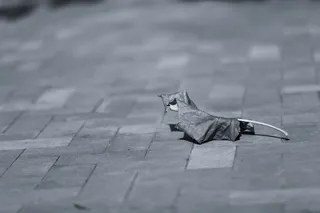 然而，物品、东西、树叶、干燥、枯萎、混凝土、板