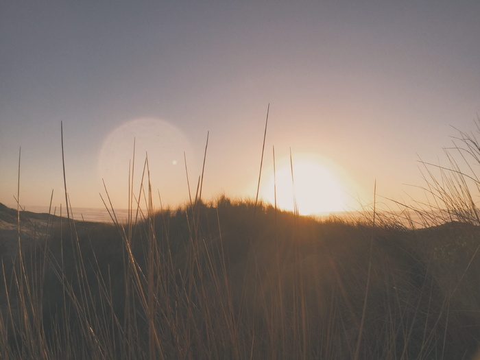 海滩、海洋、vsco、耀斑、太阳、照片、自然、摄影