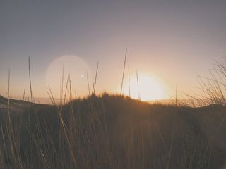 海滩、海洋、vsco、耀斑、太阳、照片、自然、摄影