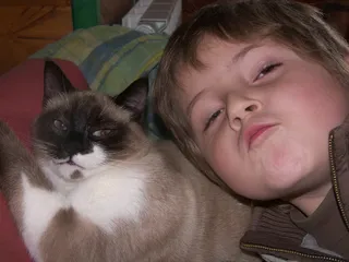 猫，孩子，宠物，脸，男孩，朋友，宠物，家养