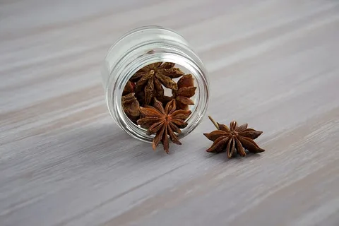 一瓶茴香 一瓶茴香