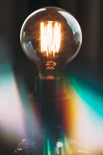 光, 灯, 灯泡, 照明, 秃鹰, 鹰, 动物, 鸟 光, 灯, 灯泡, 照明, 秃鹰, 鹰, 动物, 鸟