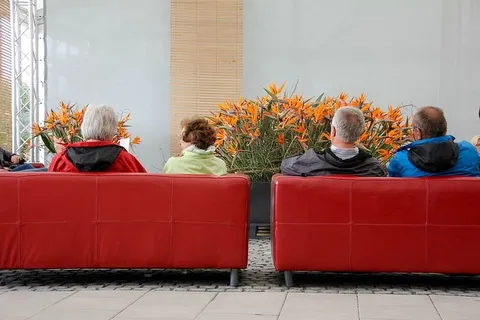 游客沙发，游客，看，国家公园展览，沙发，休息，沙发，人