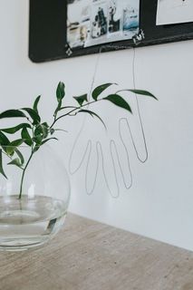 用绿色植物装饰家居