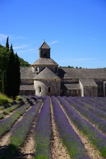 灰色粉刷的大教堂、教堂、修道院、修道院、塞南克修道院、塞南克圣母院、西多会骑士团、戈德