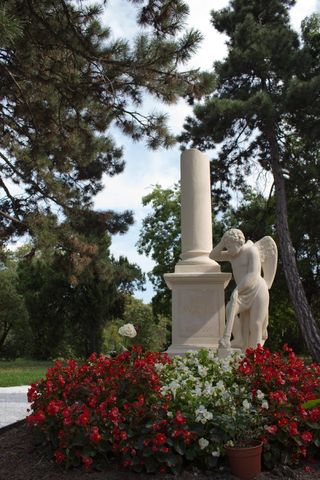 莫扎特, 公墓, 维也纳, 花, 树, 没有人, 户外, 一天