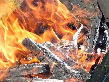 烤肉串，夏天，火，芒果，关于自然，假期，烧烤，煤炭