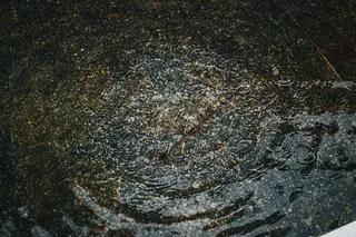 水滴，水，户外，动物，昆虫，无脊椎动物，波纹，水坑