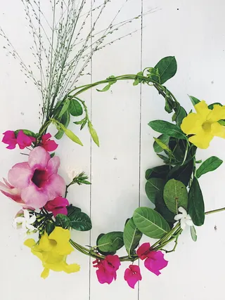 鲜花，新鲜，色彩，夏天，心情，装饰，家，房子