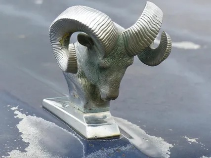 djurprydnad，car，summer，both，horn，no people，animal representation，representation