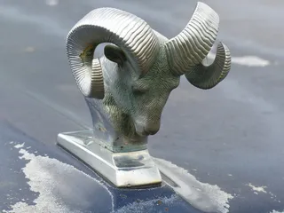 djurprydnad，car，summer，both，horn，no people，animal representation，representation