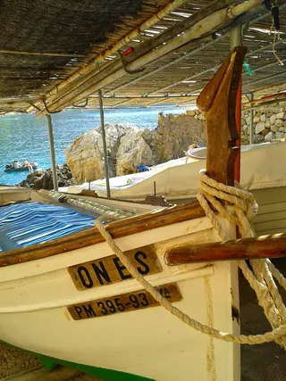 船，巴萨，海，捕鱼，假日，平静，水，航海船