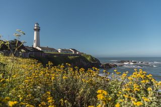 太平洋，海洋，自然，花，灯塔，风景，平静，天空