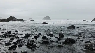 身体水的灰度照片