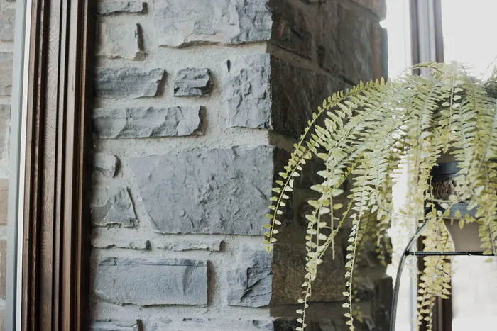 蕨类植物，建筑，大堂，砖，植物，植物，家具，客厅