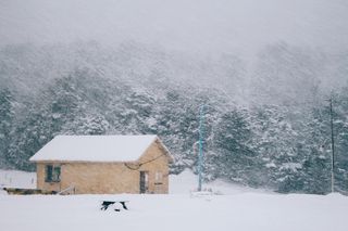 斯诺、涅夫、因维耶诺、弗里奥、温特、乌斯怀亚、巴塔哥尼亚、阿根廷