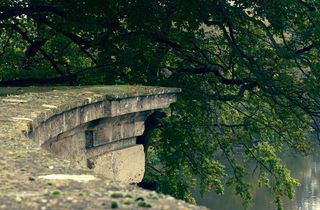 窗台、花园、墙、湖、树、绿叶、树叶、大自然