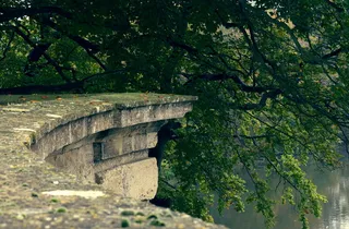 窗台、花园、墙、湖、树、绿叶、树叶、大自然