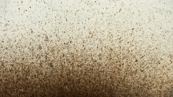 摄影、水花、背景、纹理、墙、泥、水花和设计