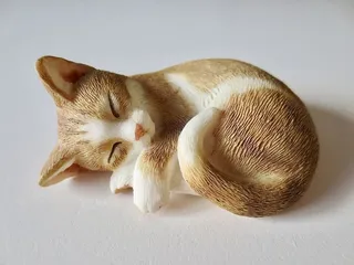 猫，物体，小睡，一只动物，动物主题，动物，哺乳动物，宠物