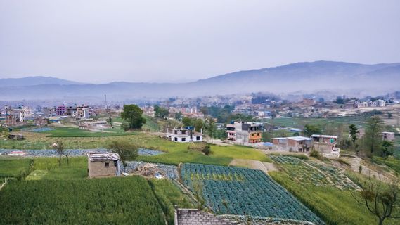 尼泊尔，巴克塔普尔，城市，建筑外观，建筑，建筑结构，建筑，环境