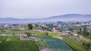 尼泊尔，巴克塔普尔，城市，建筑外观，建筑，建筑结构，建筑，环境