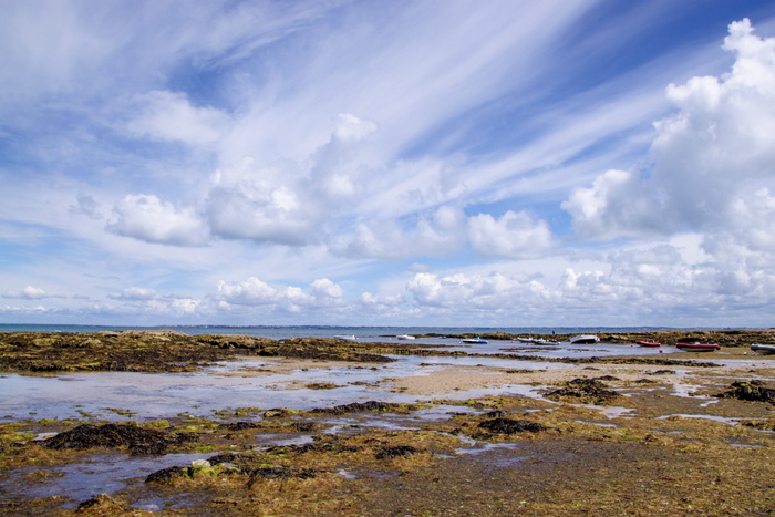 noirmoutier，海滩，潮汐，藻类，藻类，海洋，水，云-天空