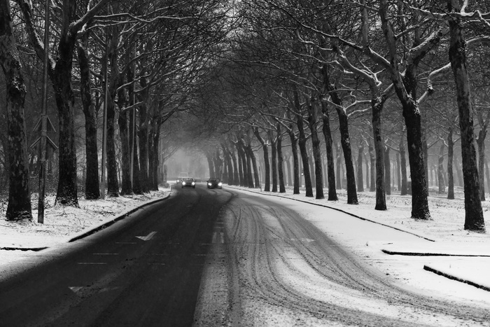 街道，柏油路，绿树成荫，冬天，雪，轮胎痕迹，汽车，交通