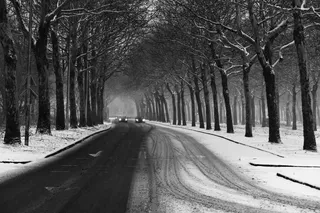 街道，柏油路，绿树成荫，冬天，雪，轮胎痕迹，汽车，交通