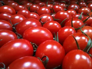 番茄，樱桃，食品，健康，红色，饮食，有机，营养