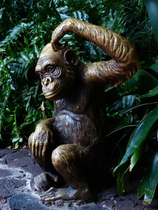 猴子，人物，有趣，思考，黑猩猩，铜像，青铜，金属