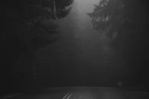 白天树木环绕的道路的灰度照片 白天树木环绕的道路的灰度照片
