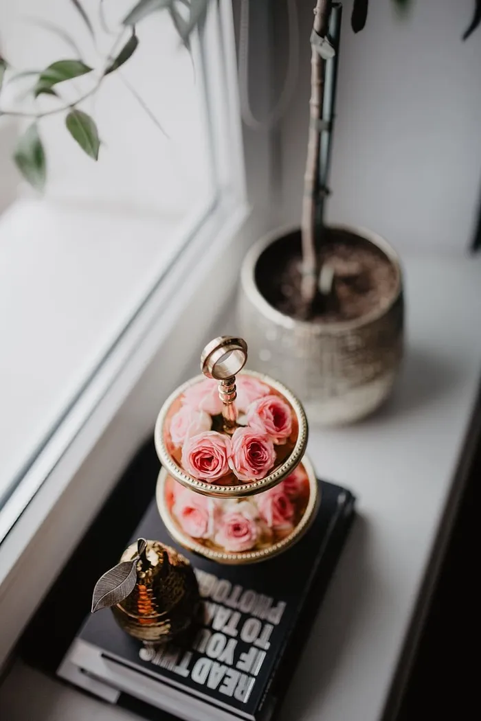 一盘粉红色的玫瑰