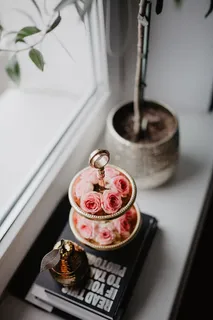 一盘粉红色的玫瑰