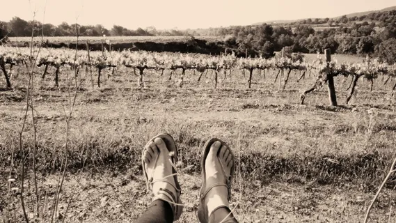 西班牙，圣马蒂萨罗卡，赤脚，葡萄酒园，壁纸，自然，脚，脚