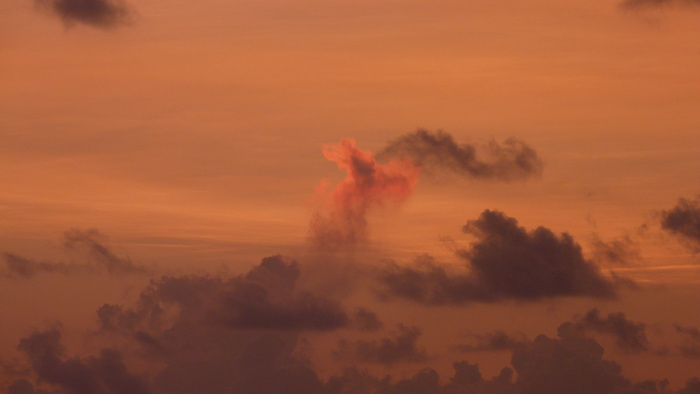 日落，morgenrot，天空，云，日出，红色，云天，自然之美
