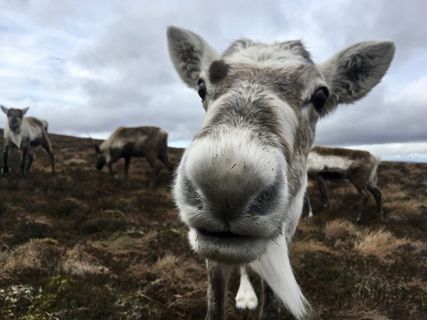 苏格兰、徒步旅行、户外、自然、探险、步行、旅行、高地