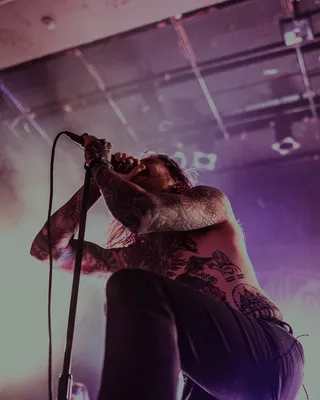 皮肤、人、人、人群、音乐家、乐器、音乐会、休闲活动