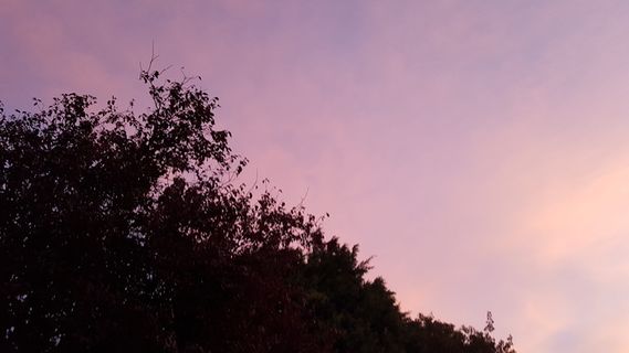 自然,户外,天空,剪影,英国大伦敦,桑格利路23a号,天气 自然,户外,天空,剪影,英国大伦敦,桑格利路23a号,天气