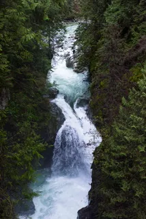 加拿大,林恩峡谷,北温哥华,徒步旅行,树木,森林,冒险,探索 加拿大,林恩峡谷,北温哥华,徒步旅行,树木,森林,冒险,探索