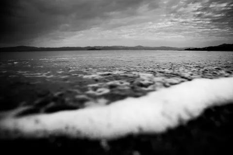 灰度照片，水泡沫，沙子，海岸，海岸线，水，海洋，海