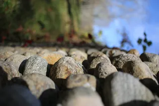 石墙，选择性聚焦，自然，白天，无人，特写，树，固体