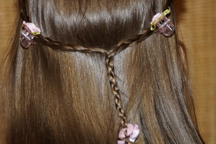 头，头脑，女孩，孩子，长发，长发，发型，辫子