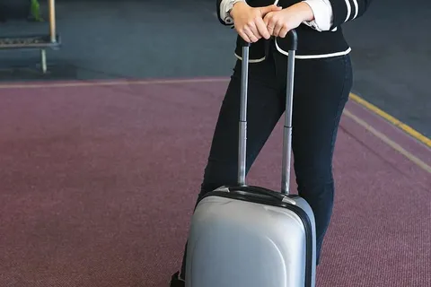 拿着手提箱照片的人